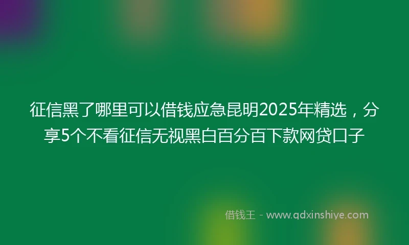 征信黑了哪里可以借钱应急昆明2025年精选，分享5个不看征信无视黑白百分百下款网贷口子