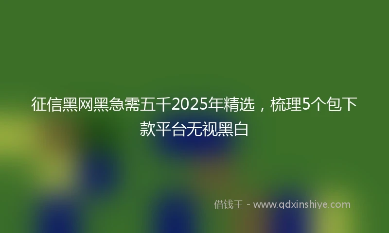 征信黑网黑急需五千2025年精选，梳理5个包下款平台无视黑白