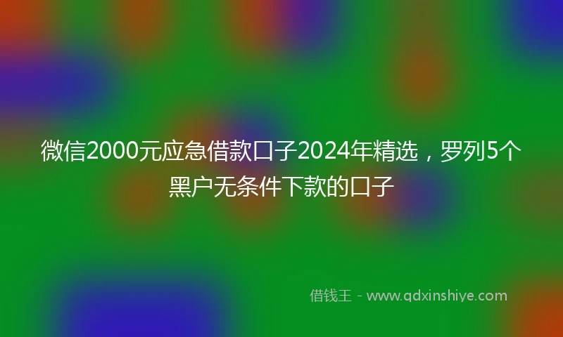 微信2000元应急借款口子2024年精选，罗列5个黑户无条件下款的口子