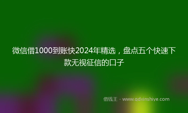 微信借1000到账快2024年精选，盘点五个快速下款无视征信的口子