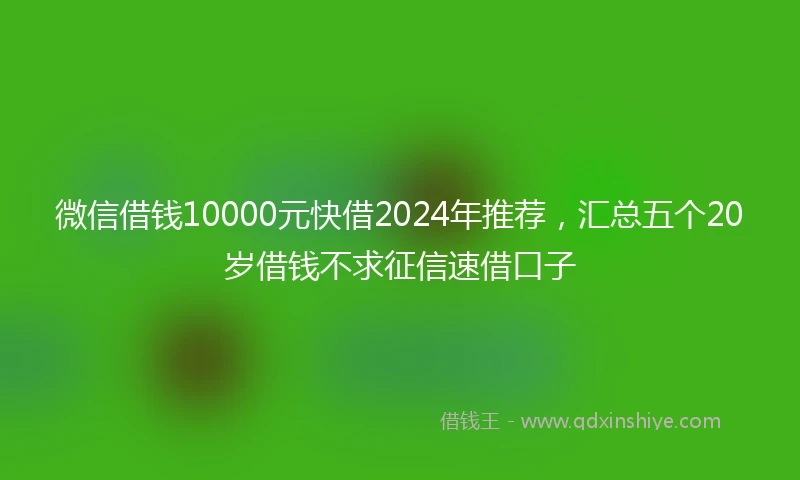 微信借钱10000元快借2024年推荐，汇总五个20岁借钱不求征信速借口子