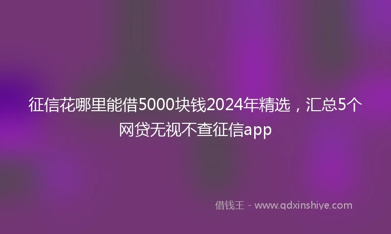 征信花哪里能借5000块钱2024年精选，汇总5个网贷无视不查征信app