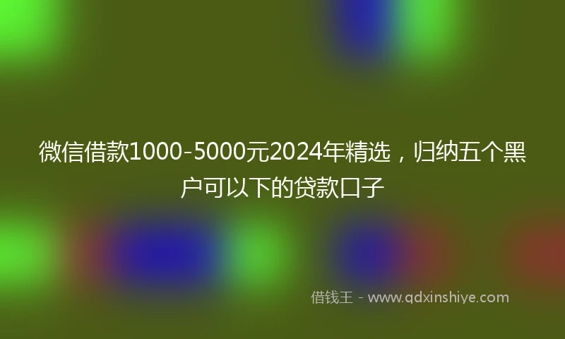 微信借款1000-5000元2024年精选，归纳五个黑户可以下的贷款口子