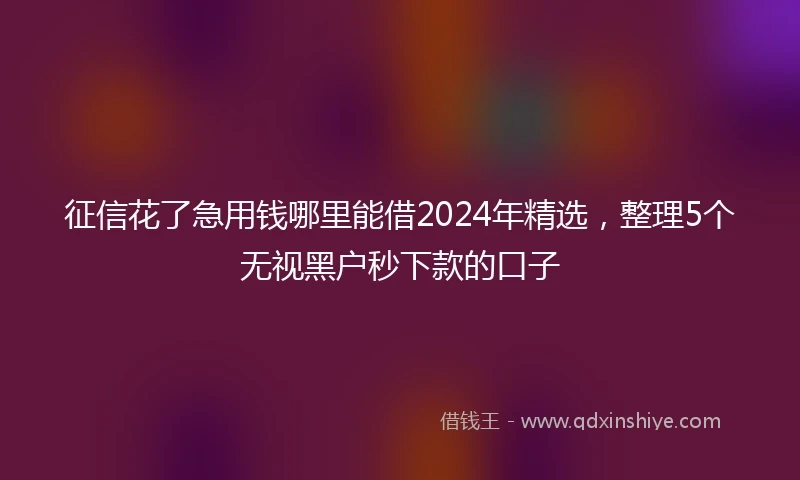 征信花了急用钱哪里能借2024年精选，整理5个无视黑户秒下款的口子