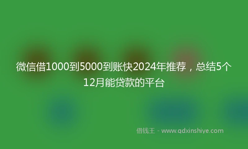 微信借1000到5000到账快2024年推荐，总结5个12月能贷款的平台