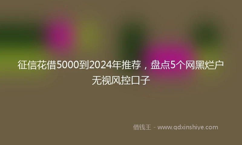 征信花借5000到2024年推荐，盘点5个网黑烂户无视风控口子
