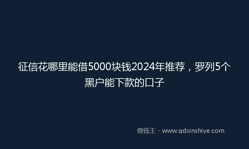 征信花哪里能借5000块钱2024年推荐，罗列5个黑户能下款的口子