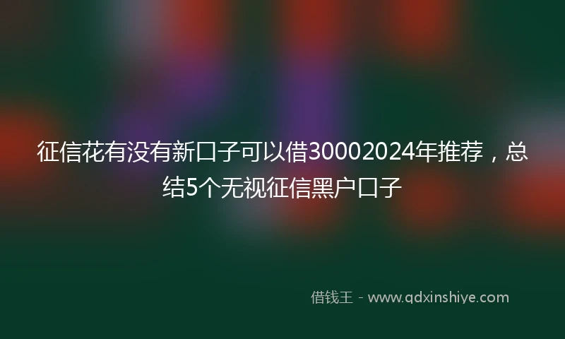 征信花有没有新口子可以借30002024年推荐，总结5个无视征信黑户口子