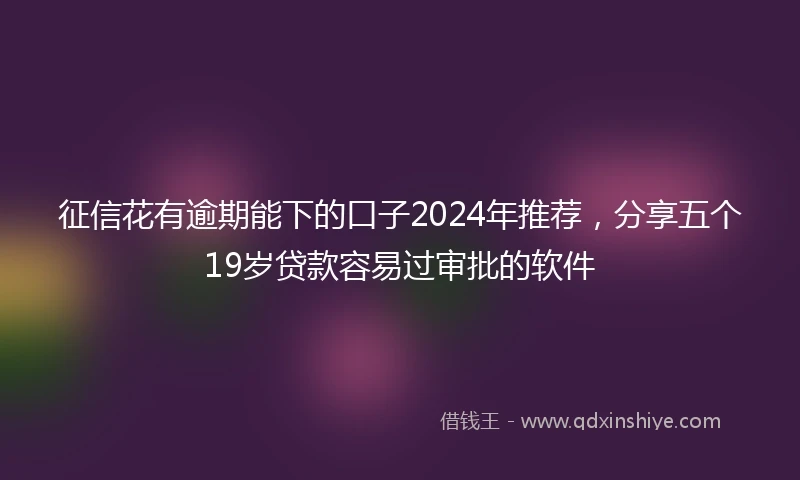 征信花有逾期能下的口子2024年推荐，分享五个19岁贷款容易过审批的软件