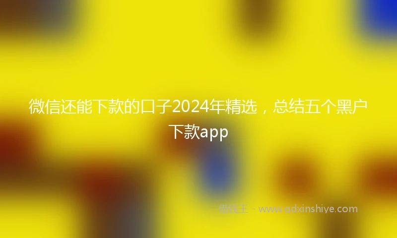 微信还能下款的口子2024年精选，总结五个黑户下款app
