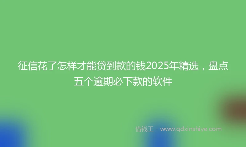 征信花了怎样才能贷到款的钱2025年精选，盘点五个逾期必下款的软件