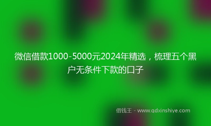 微信借款1000-5000元2024年精选，梳理五个黑户无条件下款的口子