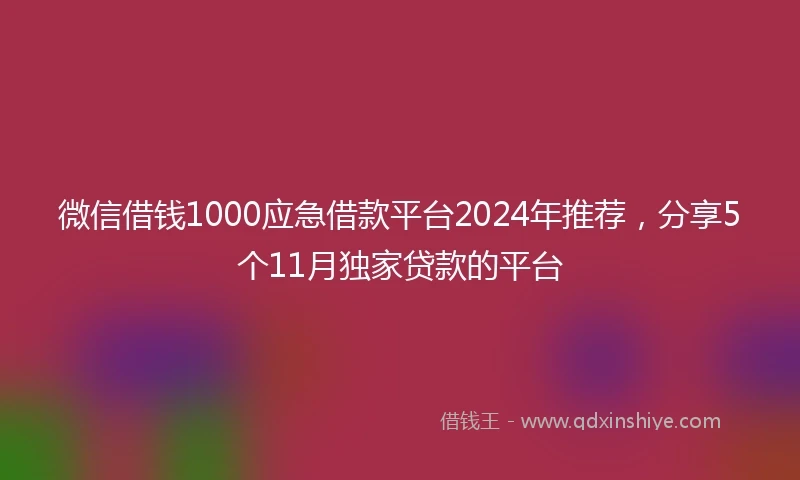 微信借钱1000应急借款平台2024年推荐，分享5个11月独家贷款的平台