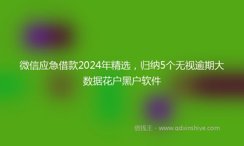 微信应急借款2024年精选，归纳5个无视逾期大数据花户黑户软件