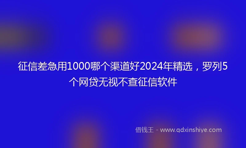 征信差急用1000哪个渠道好2024年精选，罗列5个网贷无视不查征信软件