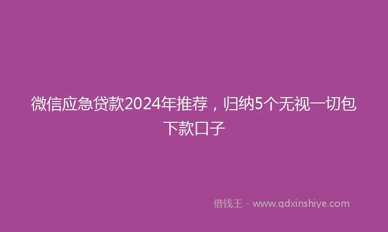 微信应急贷款2024年推荐，归纳5个无视一切包下款口子