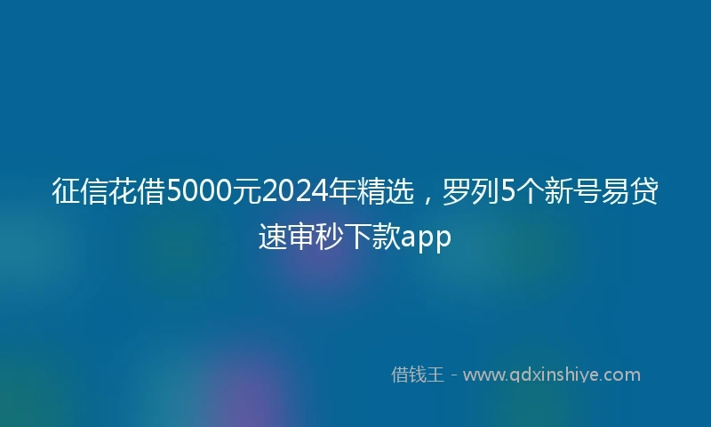 征信花借5000元2024年精选，罗列5个新号易贷速审秒下款app