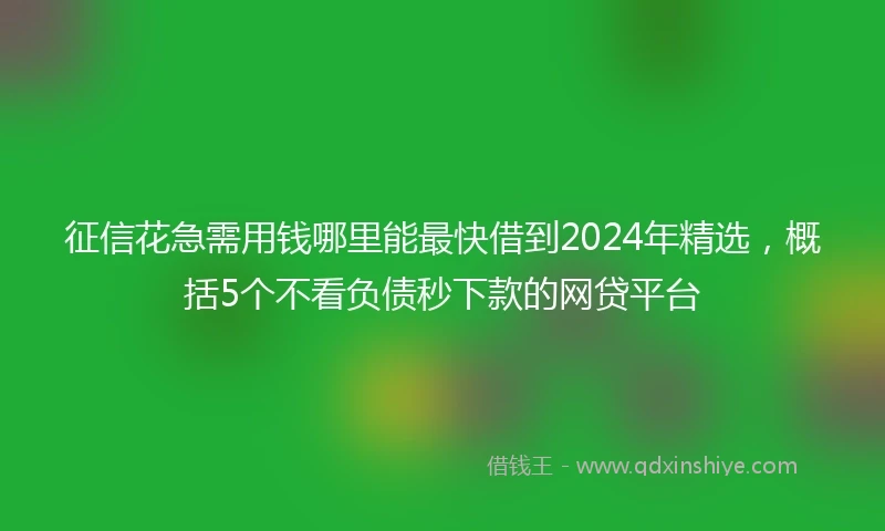 征信花急需用钱哪里能最快借到2024年精选，概括5个不看负债秒下款的网贷平台