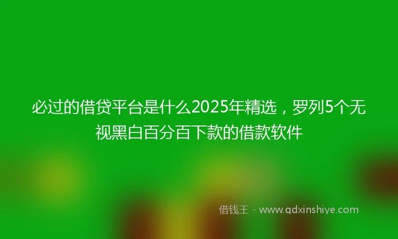 必过的借贷平台是什么2025年精选，罗列5个无视黑白百分百下款的借款软件