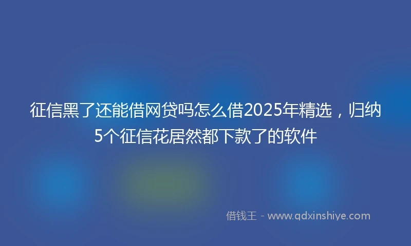 征信黑了还能借网贷吗怎么借2025年精选，归纳5个征信花居然都下款了的软件