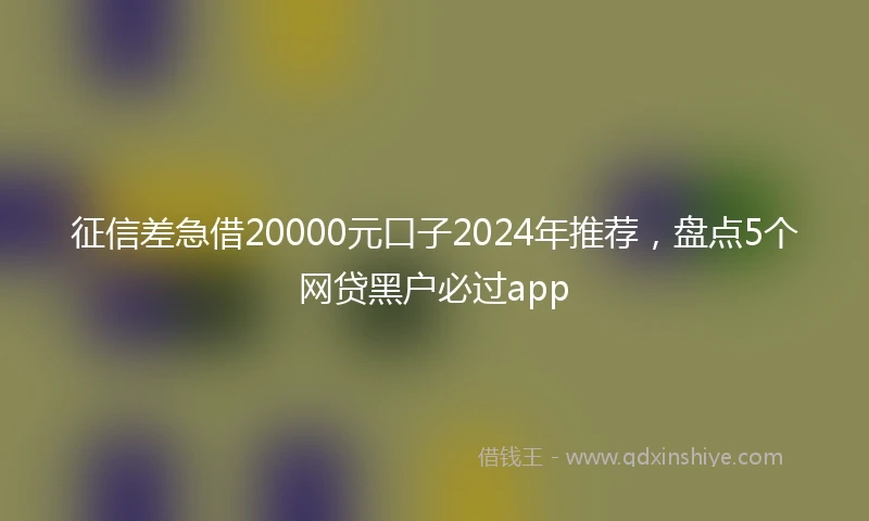 征信差急借20000元口子2024年推荐，盘点5个网贷黑户必过app