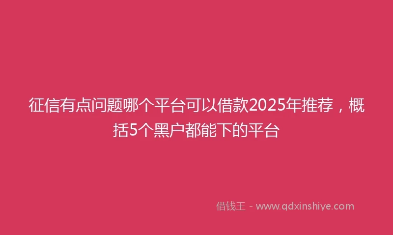 征信有点问题哪个平台可以借款2025年推荐，概括5个黑户都能下的平台