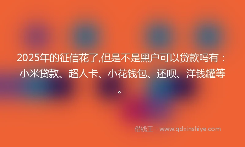 2025年的征信花了,但是不是黑户可以贷款吗有：小米贷款、超人卡、小花钱包、还呗、洋钱罐等。