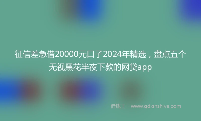 征信差急借20000元口子2024年精选，盘点五个无视黑花半夜下款的网贷app