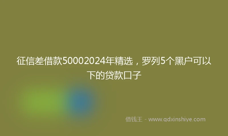 征信差借款50002024年精选，罗列5个黑户可以下的贷款口子