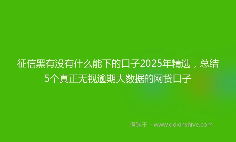 征信黑有没有什么能下的口子2025年精选，总结5个真正无视逾期大数据的网贷口子