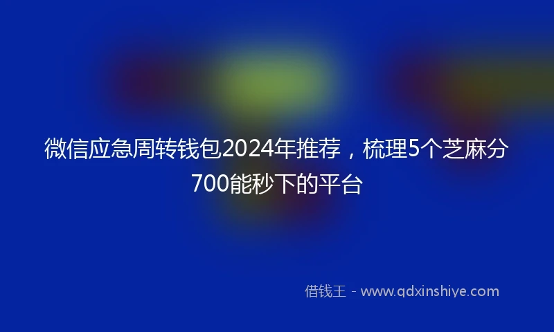 微信应急周转钱包2024年推荐，梳理5个芝麻分700能秒下的平台