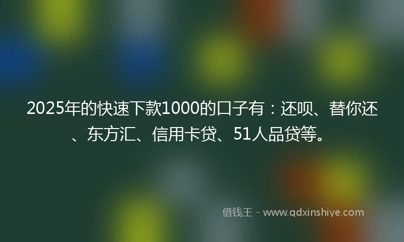 2025年的快速下款1000的口子有：还呗、替你还、东方汇、信用卡贷、51人品贷等。