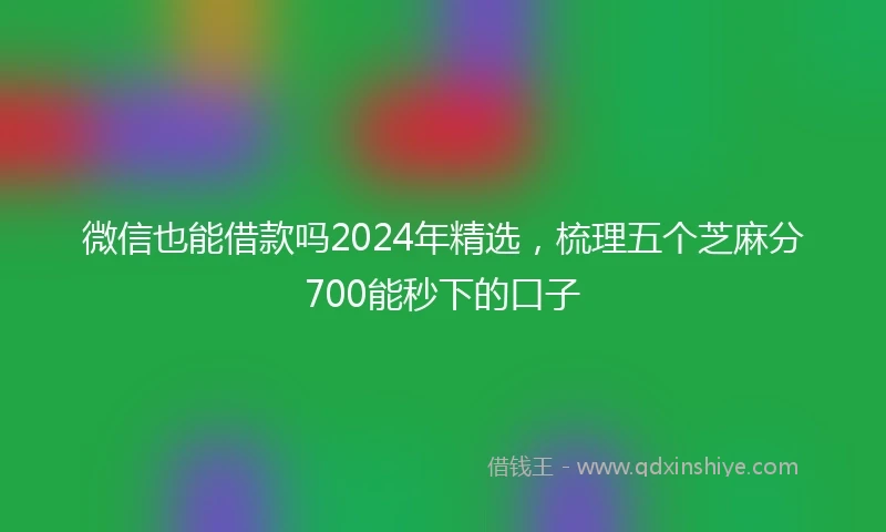 微信也能借款吗2024年精选，梳理五个芝麻分700能秒下的口子