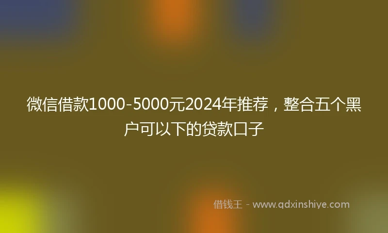 微信借款1000-5000元2024年推荐，整合五个黑户可以下的贷款口子