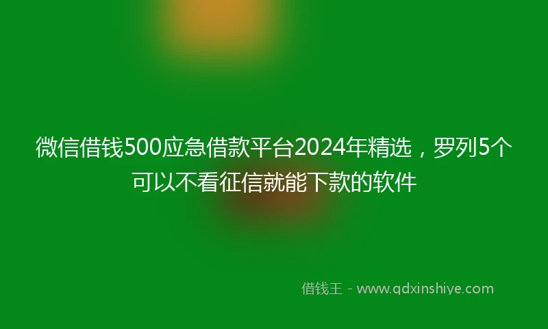 微信借钱500应急借款平台2024年精选，罗列5个可以不看征信就能下款的软件