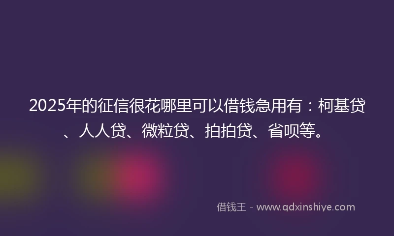 2025年的征信很花哪里可以借钱急用有：柯基贷、人人贷、微粒贷、拍拍贷、省呗等。