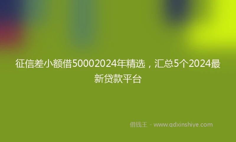 征信差小额借50002024年精选，汇总5个2024最新贷款平台