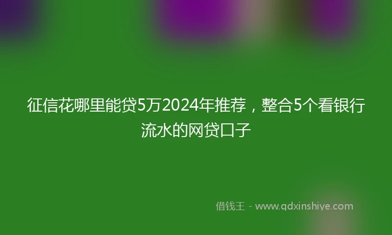 征信花哪里能贷5万2024年推荐，整合5个看银行流水的网贷口子