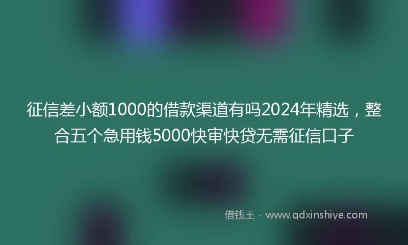 征信差小额1000的借款渠道有吗2024年精选，整合五个急用钱5000快审快贷无需征信口子