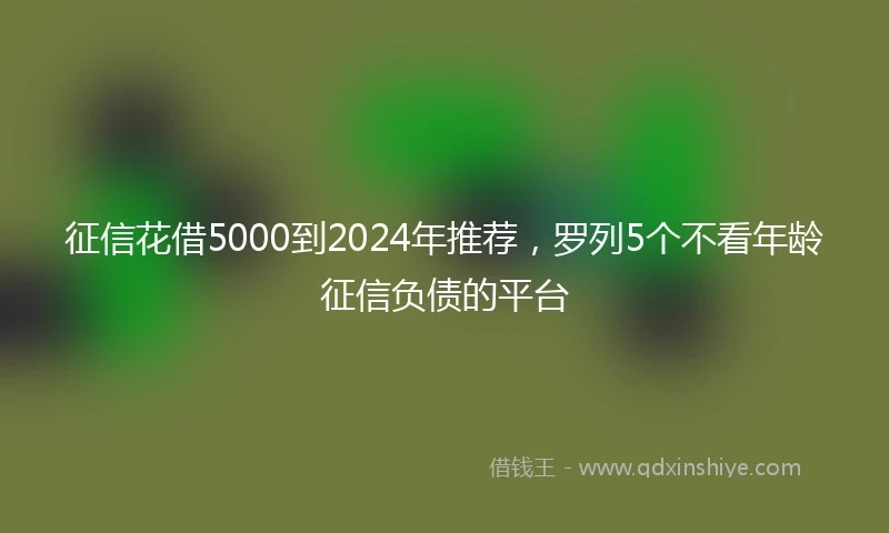 征信花借5000到2024年推荐，罗列5个不看年龄征信负债的平台