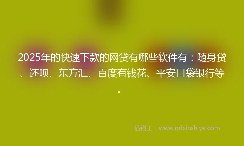 2025年的快速下款的网贷有哪些软件有：随身贷、还呗、东方汇、百度有钱花、平安口袋银行等。