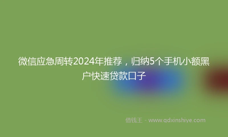 微信应急周转2024年推荐，归纳5个手机小额黑户快速贷款口子