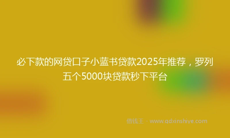 必下款的网贷口子小蓝书贷款2025年推荐，罗列五个5000块贷款秒下平台