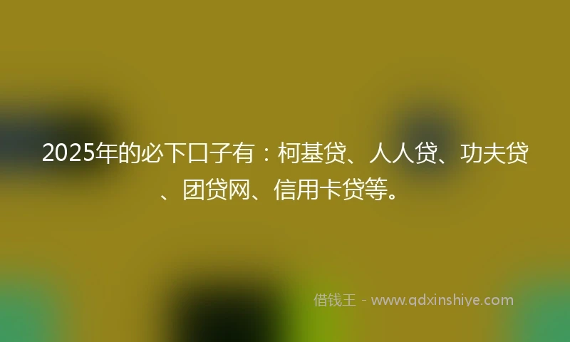 2025年的必下口子有：柯基贷、人人贷、功夫贷、团贷网、信用卡贷等。