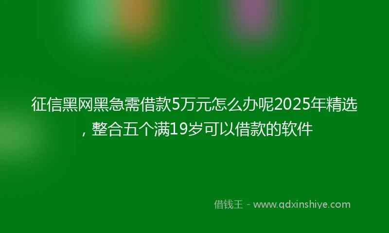 征信黑网黑急需借款5万元怎么办呢2025年精选，整合五个满19岁可以借款的软件