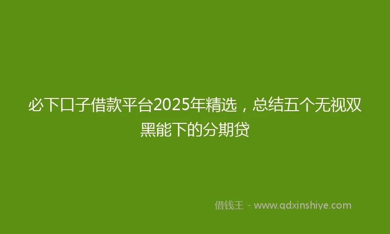 必下口子借款平台2025年精选，总结五个无视双黑能下的分期贷
