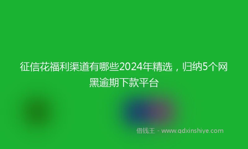 征信花福利渠道有哪些2024年精选，归纳5个网黑逾期下款平台