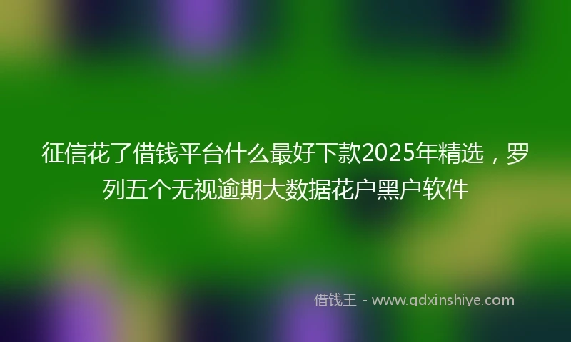 征信花了借钱平台什么最好下款2025年精选，罗列五个无视逾期大数据花户黑户软件