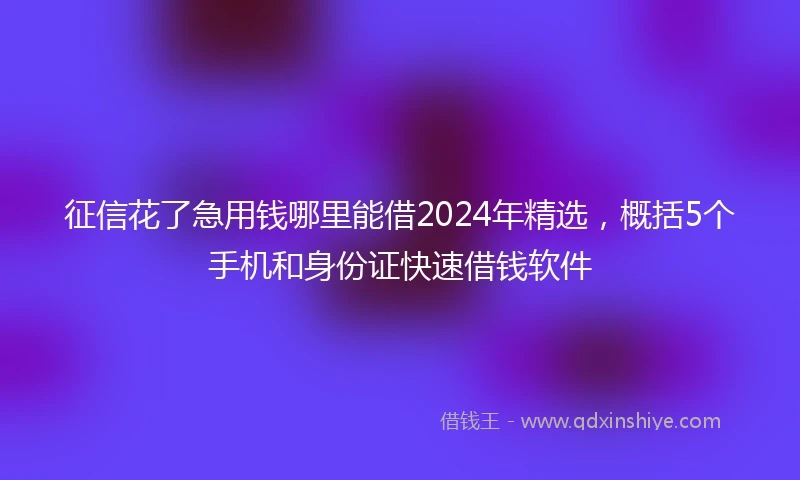 征信花了急用钱哪里能借2024年精选，概括5个手机和身份证快速借钱软件