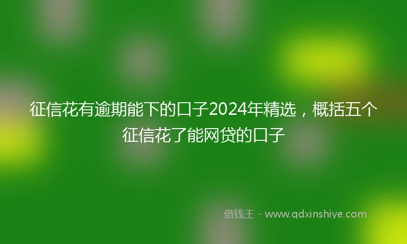 征信花有逾期能下的口子2024年精选，概括五个征信花了能网贷的口子